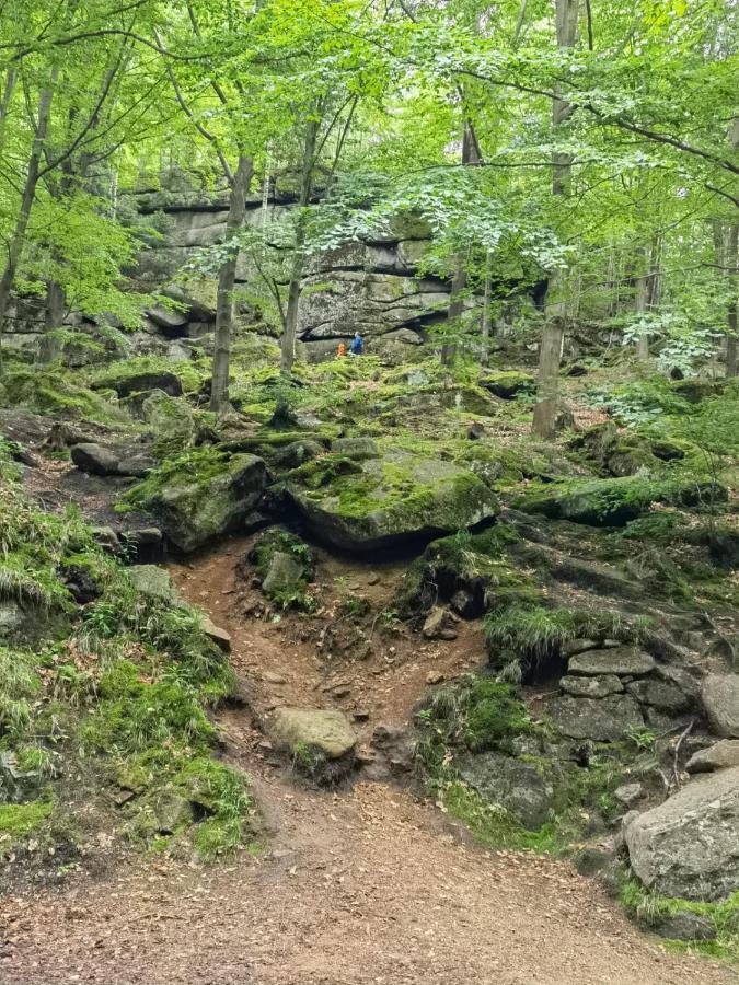Osrodek Wypoczynkowy Nad Wodospadem Przesieka Esterno foto